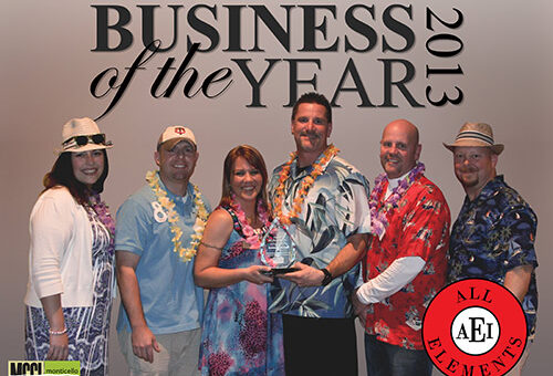 aei-business-of-the-year-2014