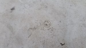 Circle drawn around a hole from hail in a roofing membrane