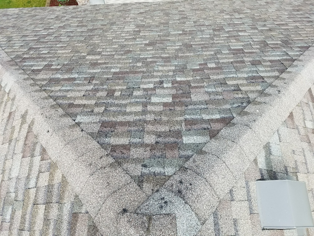 Hail damaged shingle roofing