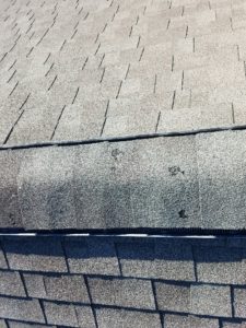Dents in roof shingles caused by hail