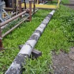 Plants lining an industrial roof