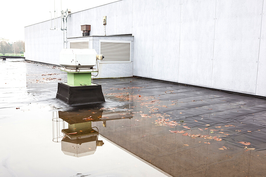 The Cost of Water Damage to Your Roof (and How to Prevent It)