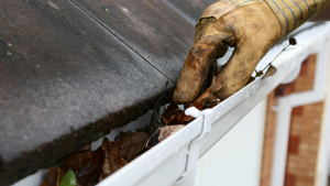 roof leaks