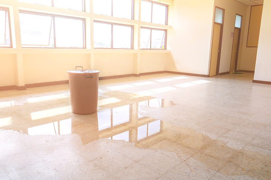 Roof Leaks: Proactive vs Reactive Approaches to Caring for Your Roof
