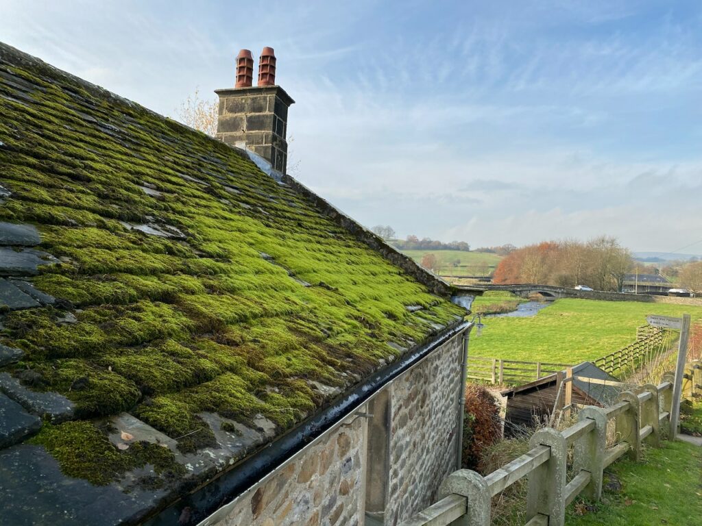 Best Moss Killer For Roofs All Elements, Inc.