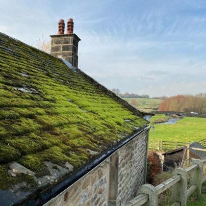 Best Moss Killer For Roofs