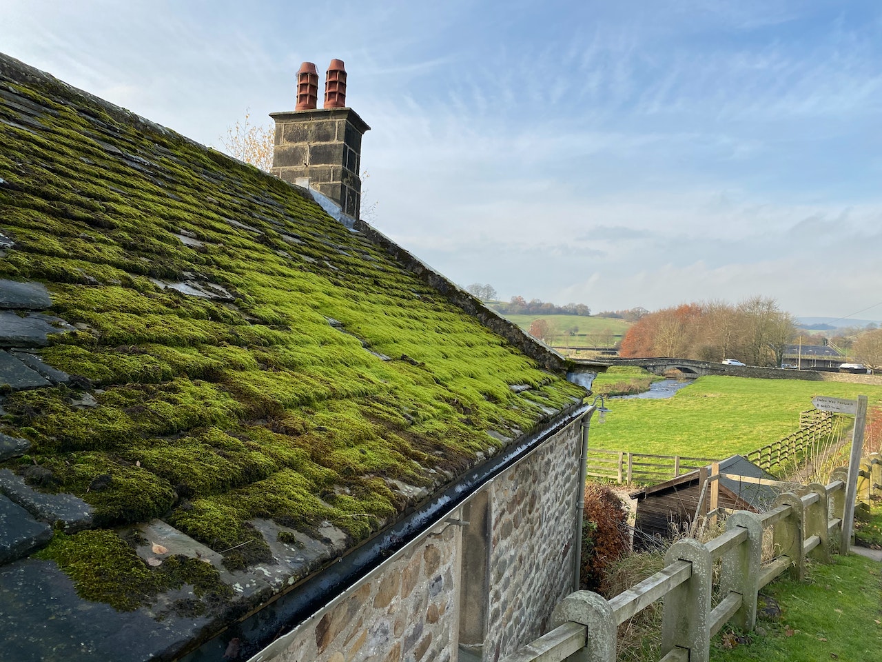 Moss growing on roof of home.