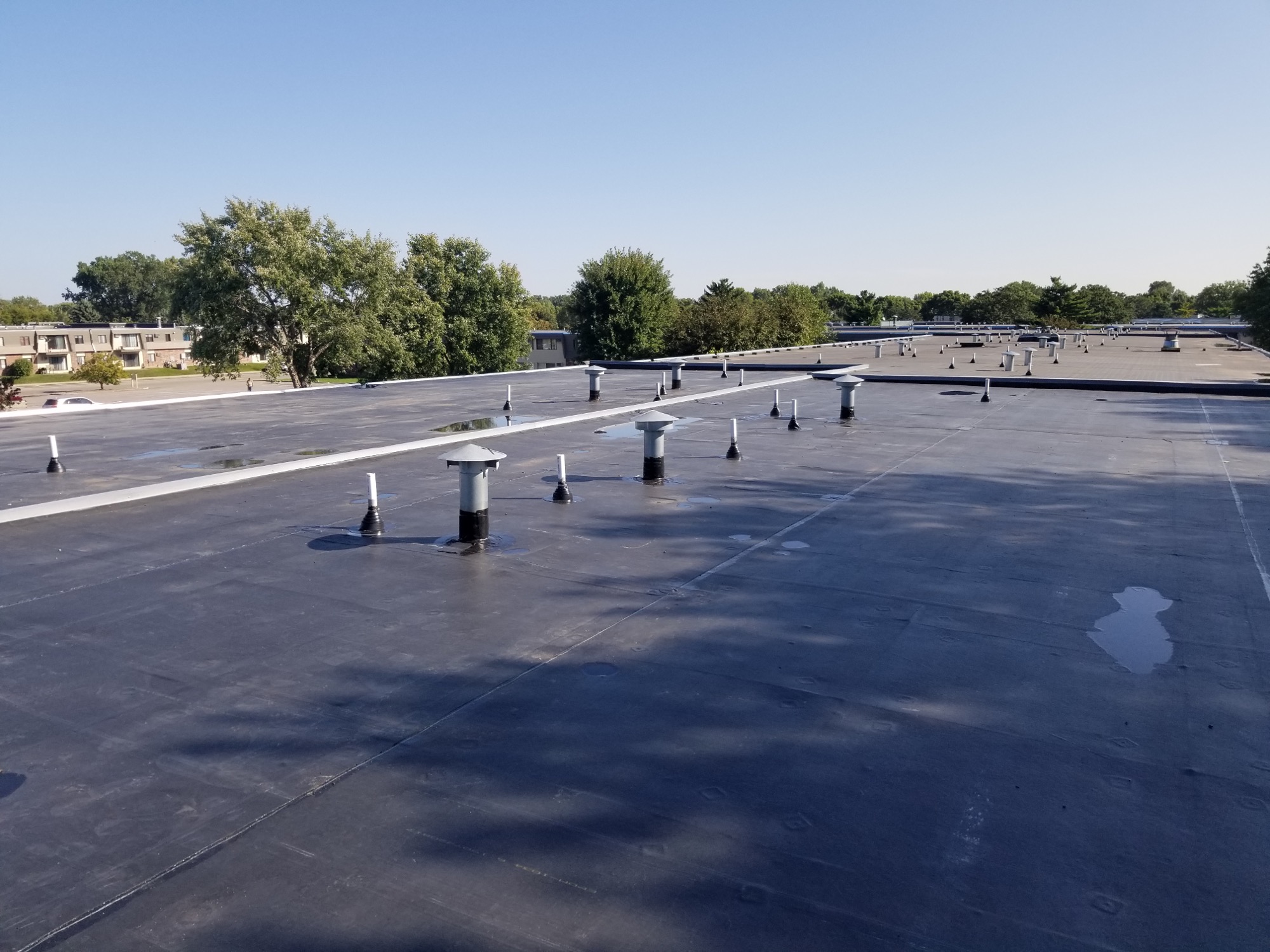 Black EPDM roof with puddles of water